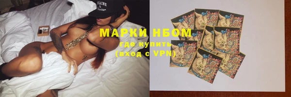 ГАЛЛЮЦИНОГЕННЫЕ ГРИБЫ Кулебаки