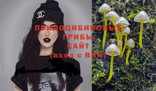 ГАЛЛЮЦИНОГЕННЫЕ ГРИБЫ Кулебаки