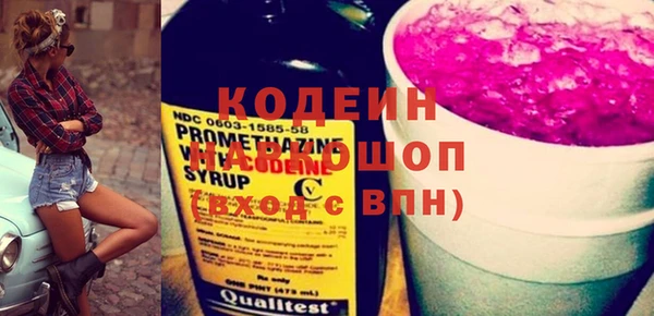 ГАЛЛЮЦИНОГЕННЫЕ ГРИБЫ Кулебаки