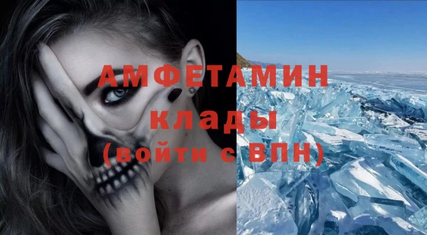 ГАЛЛЮЦИНОГЕННЫЕ ГРИБЫ Кулебаки