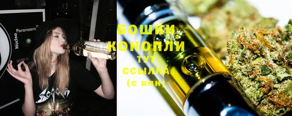 ГАЛЛЮЦИНОГЕННЫЕ ГРИБЫ Кулебаки