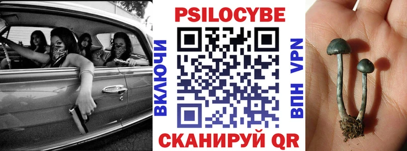 Галлюциногенные грибы Psilocybe  MEGA зеркало  Сурск 